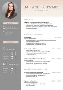 A curriculum vitae design with a short profile will give the first impression of the applicant with whom he can score in the first few seconds. This is a small summary of the candidate's most important positions so far.
